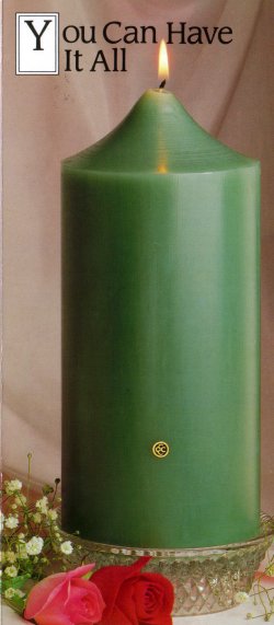 brochurep1.jpg (24697 bytes)