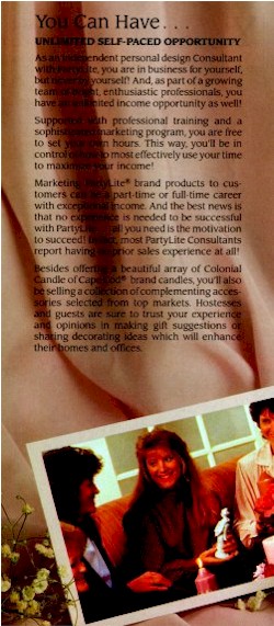 brochurep2.jpg (50401 bytes)