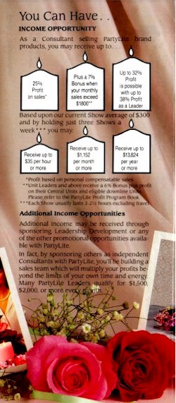 brochurep3.jpg (59706 bytes)