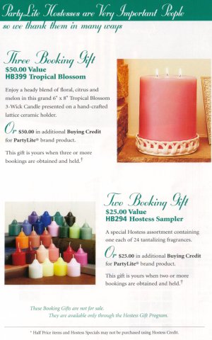 brochurep7.jpg (35487 bytes)