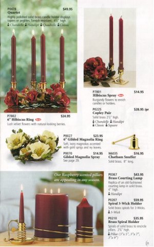 partylitecat21.jpg (45006 bytes)