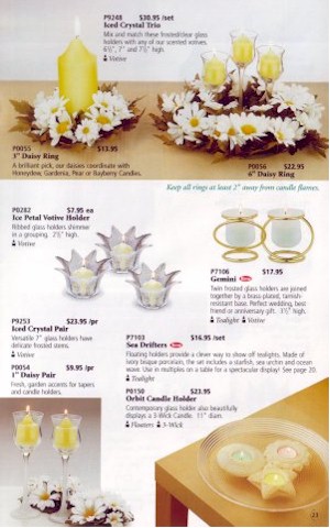 partylitecat23.jpg (45202 bytes)