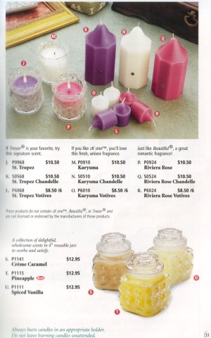 partylitecat33.jpg (32979 bytes)